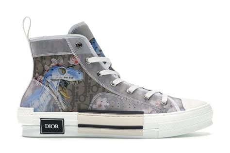 dior b23 dinosaur